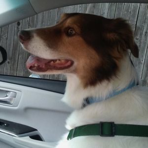 Meet your Posher, Janice